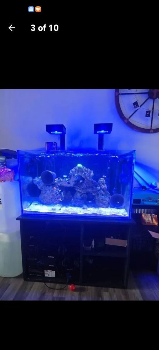 Marine tank - Image 1