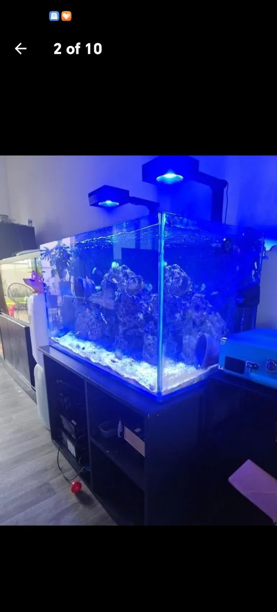Marine tank - Image 3