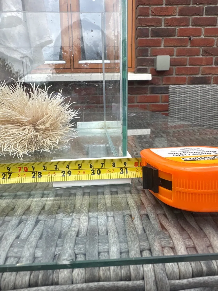 60L long fish tank - Image 4