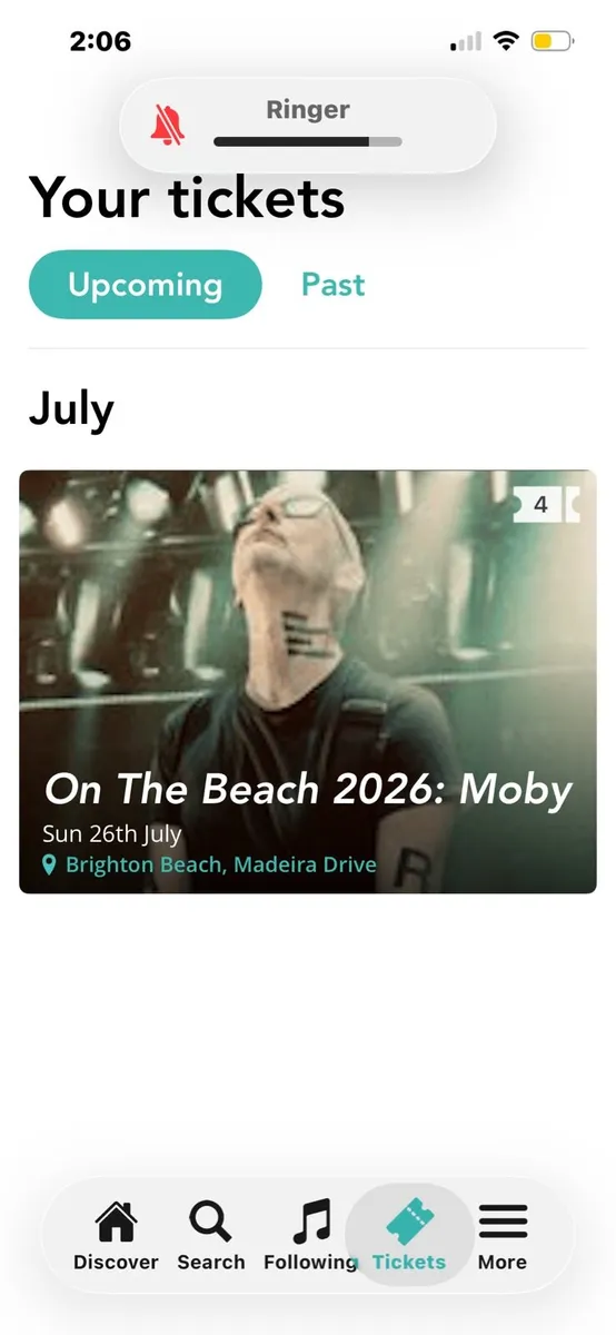 Moby concert Brighton beach