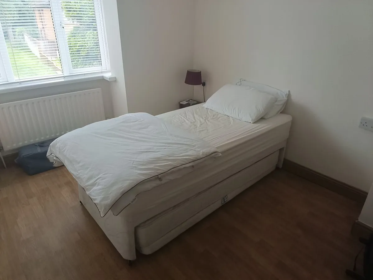Single pull out to a double bed with mattresses - Image 2