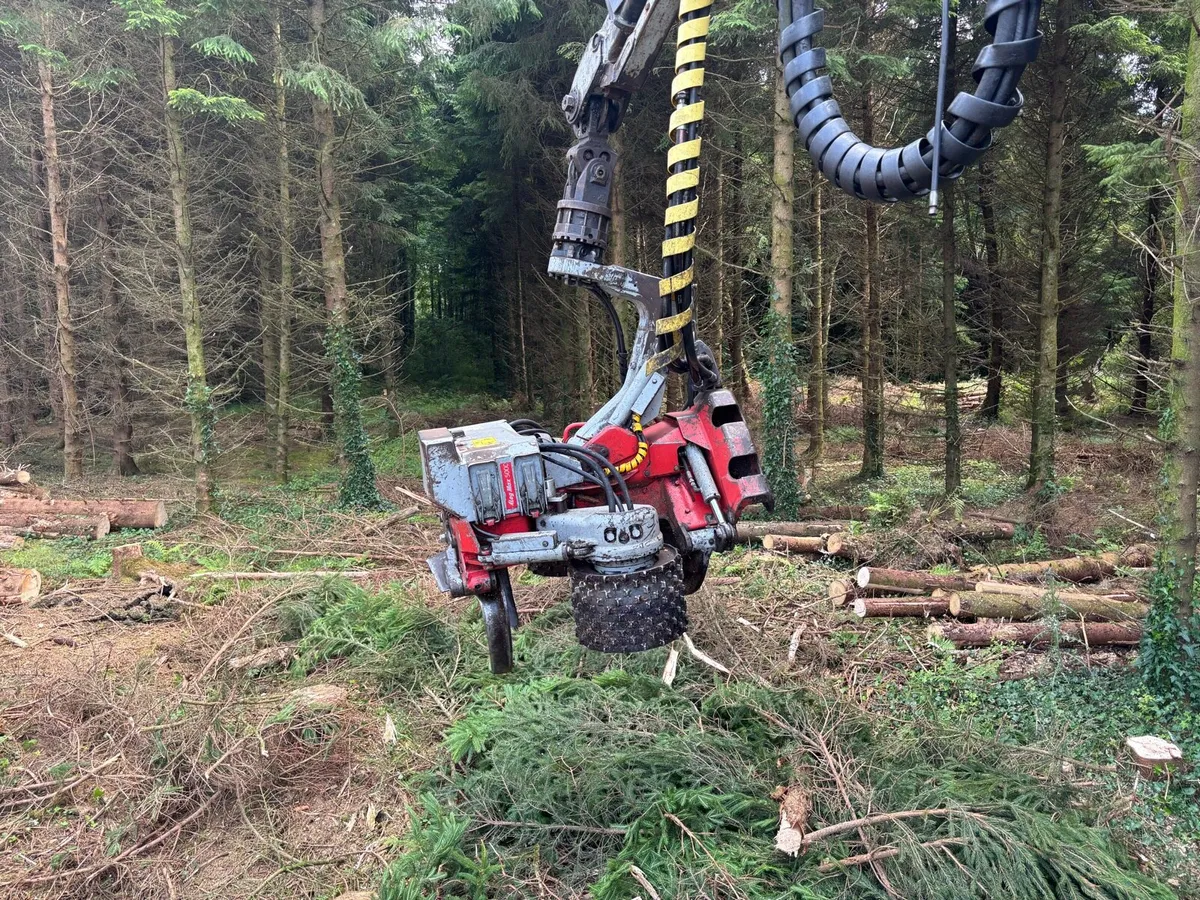 Timber Harvester - Image 3