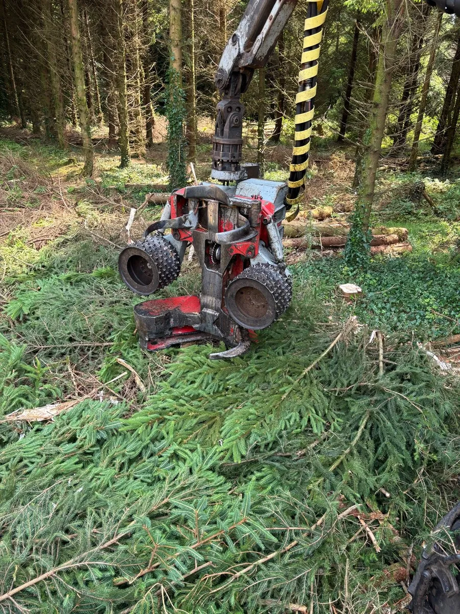 Timber Harvester - Image 4