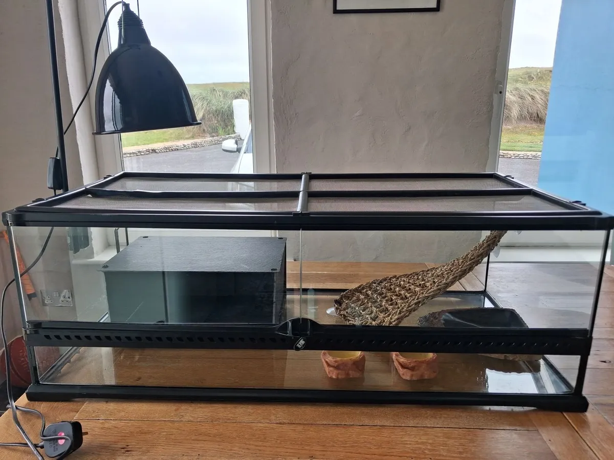 Exo Terra Vivarium
