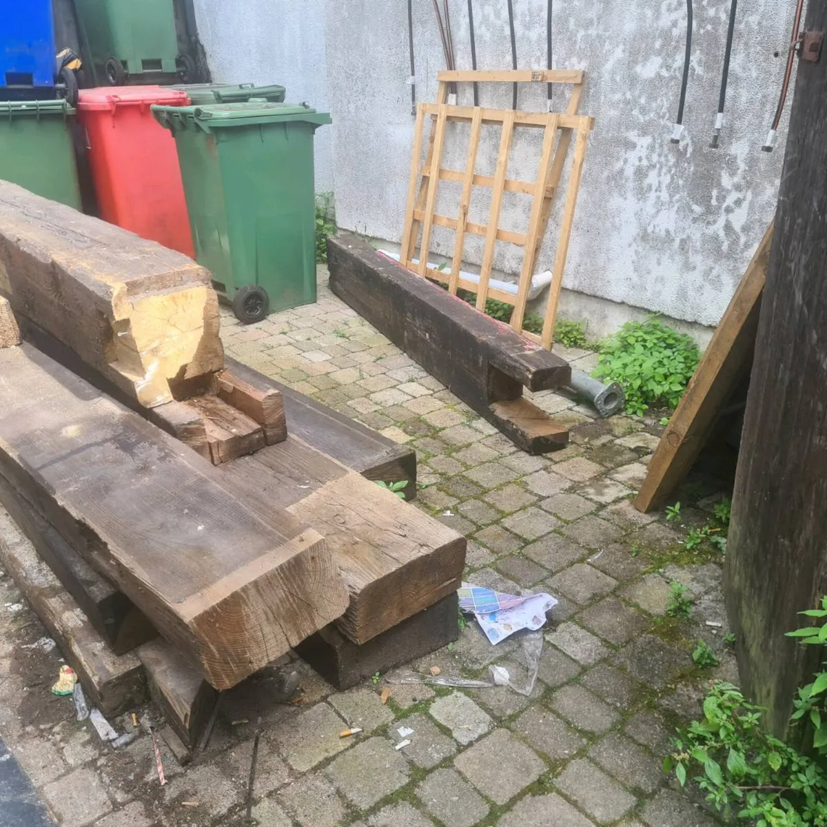 Gardening  Project - Image 3