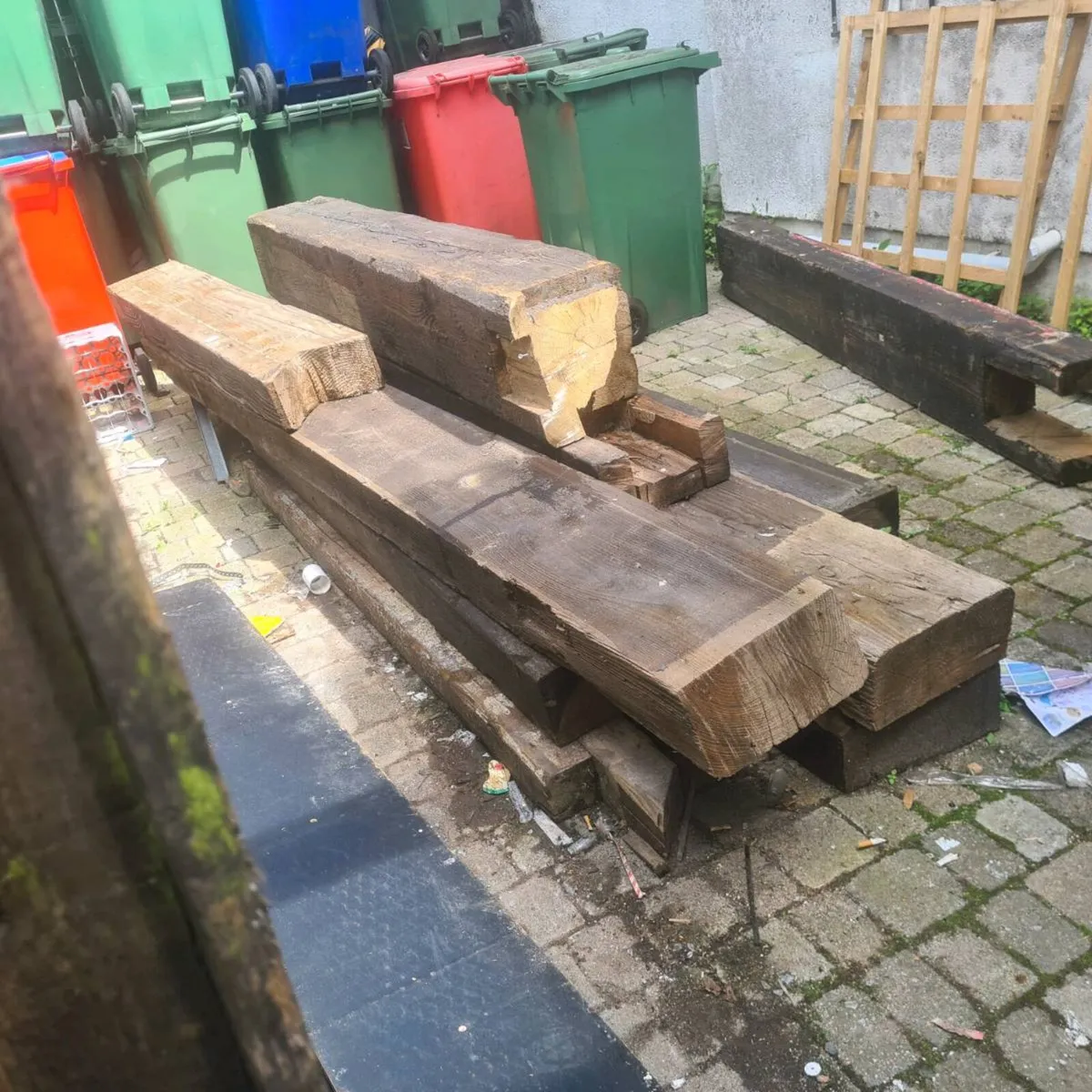 Gardening  Project - Image 4