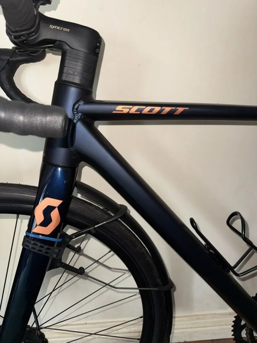 Scott Contessa - Image 2