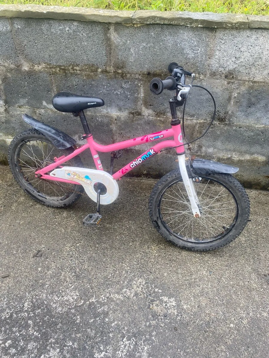 Girls bikes - Image 2