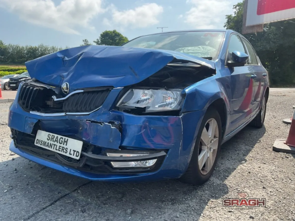 Skoda Octavia Collection - Image 2