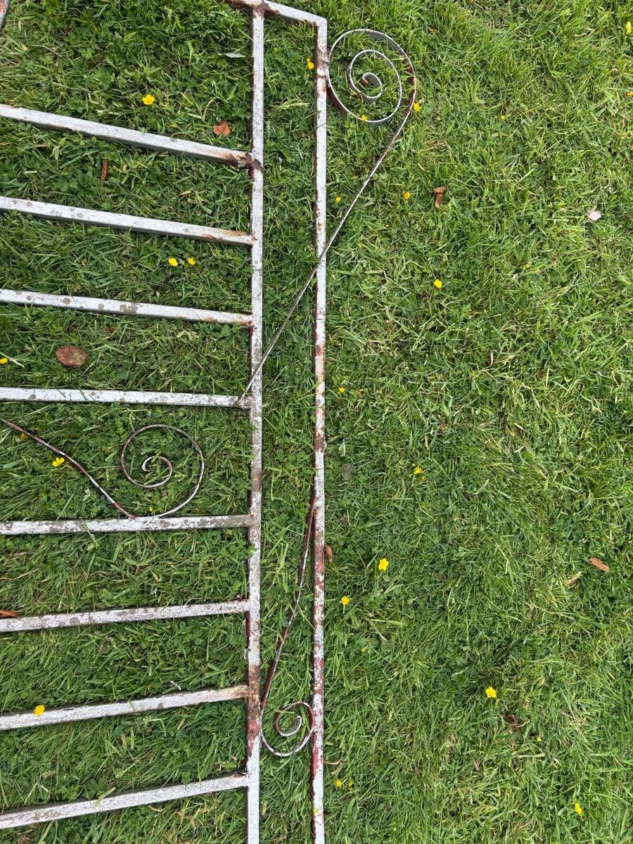 Metal garden gates x2 - Image 3