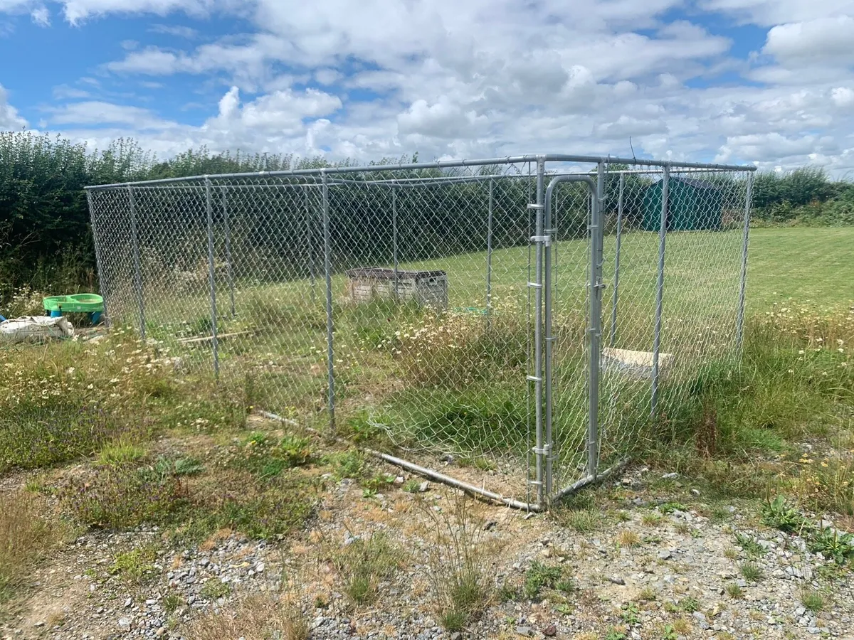 Dog Run