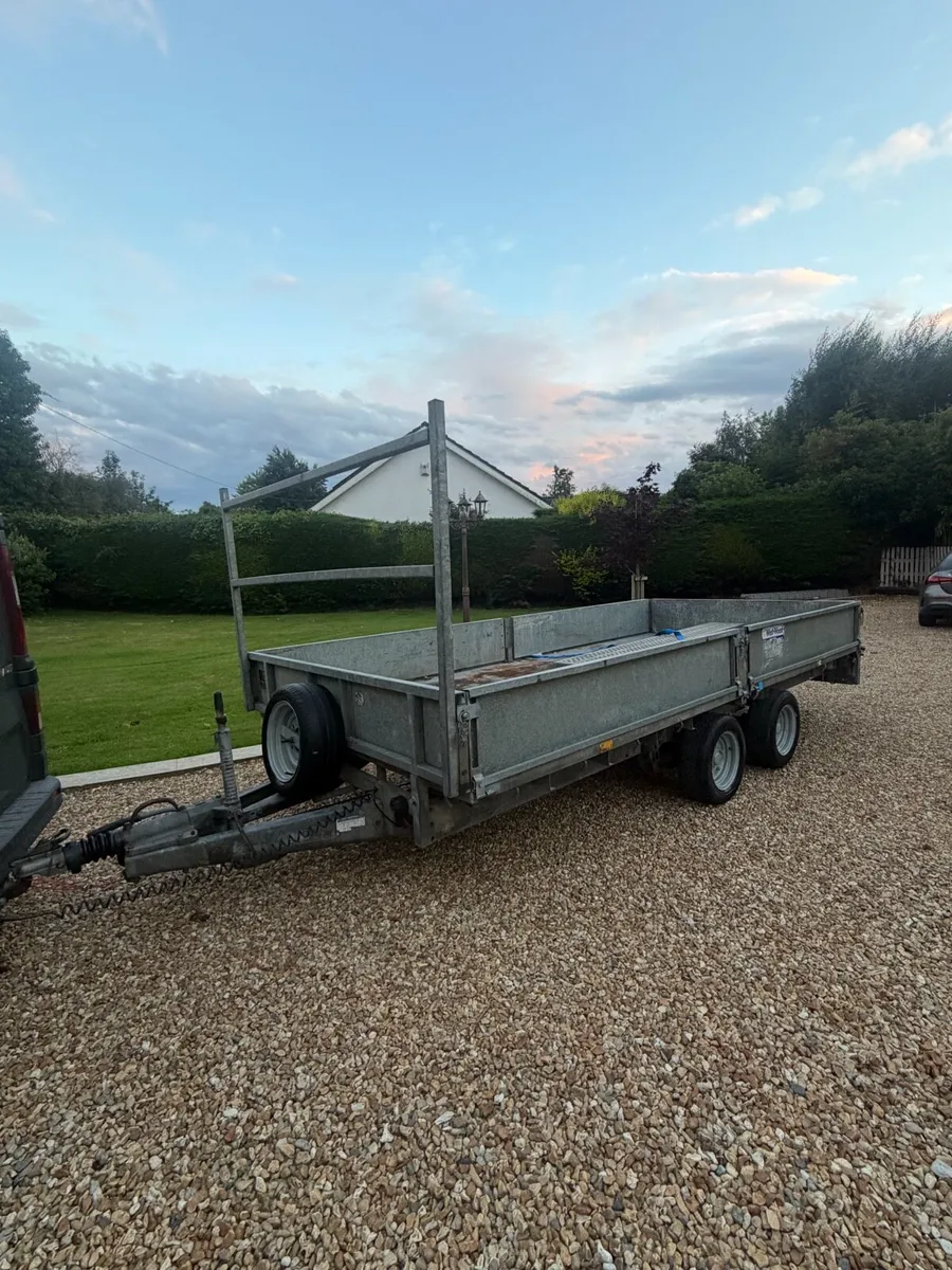 14x6,6 Ifor William Dropside Trailer - Image 2