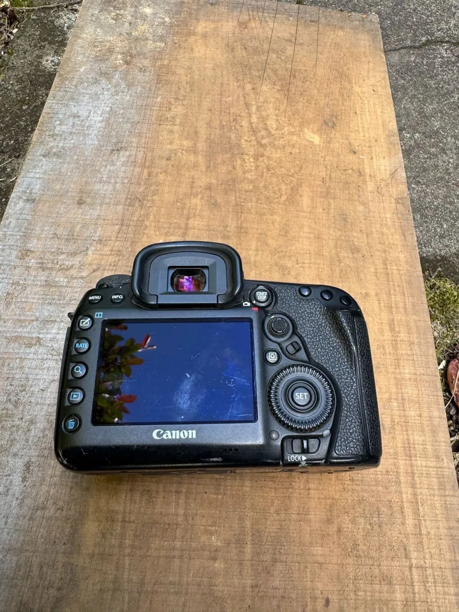 Canon 5DMKIV with lenses - Image 2
