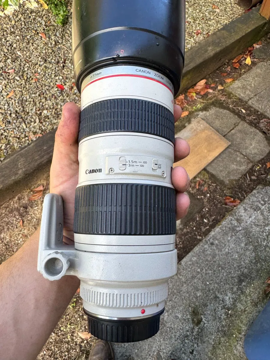 Canon 5DMKIV with lenses - Image 4