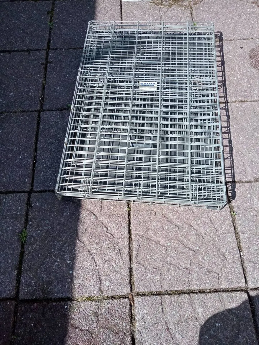 Large dog crate - Image 2