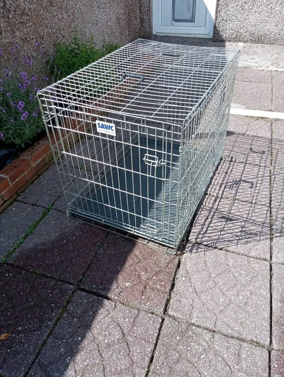 Large dog crate - Image 1