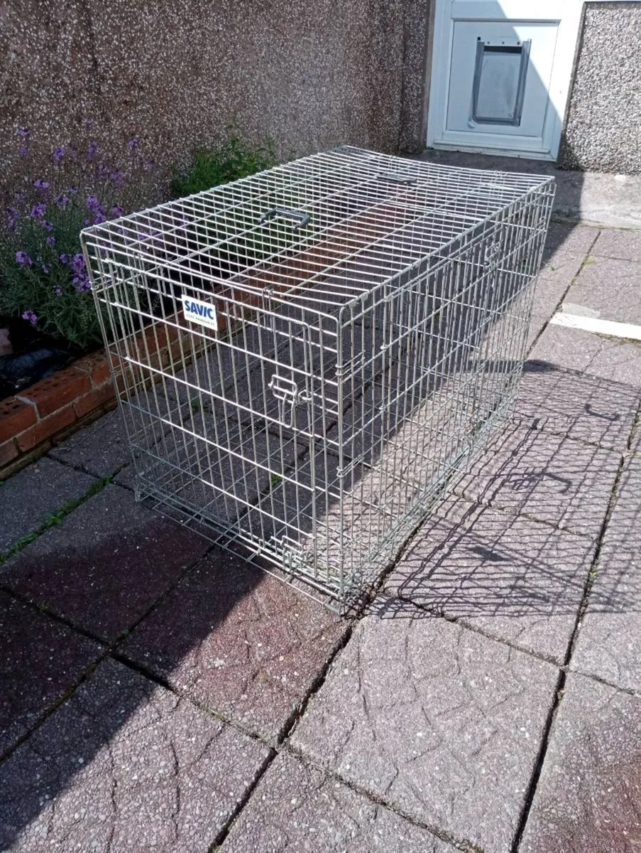 Large dog crate - Image 3