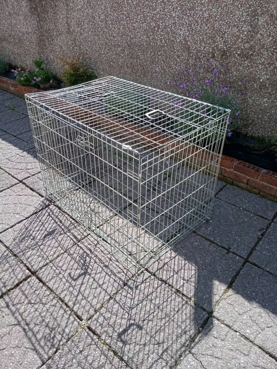 Large dog crate - Image 4