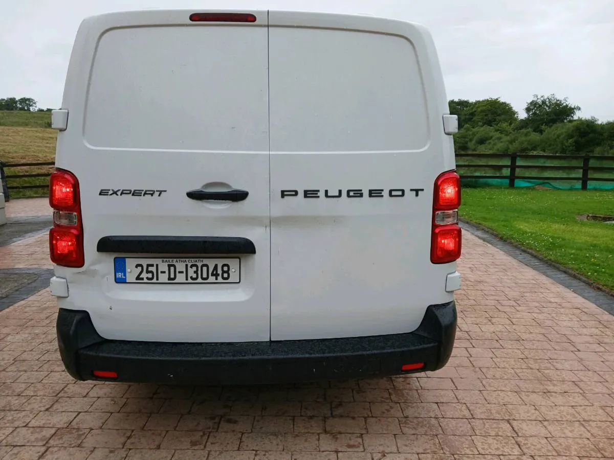 251 Peugeot  Expert - Image 4