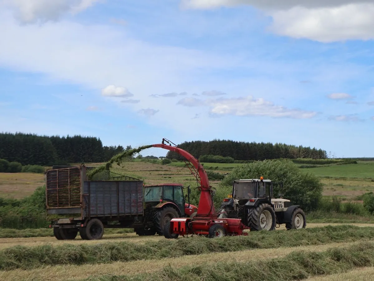 12x8 silage trailer - Image 1