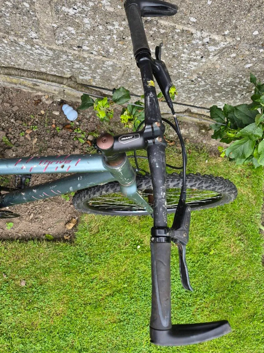 Bike - Image 3