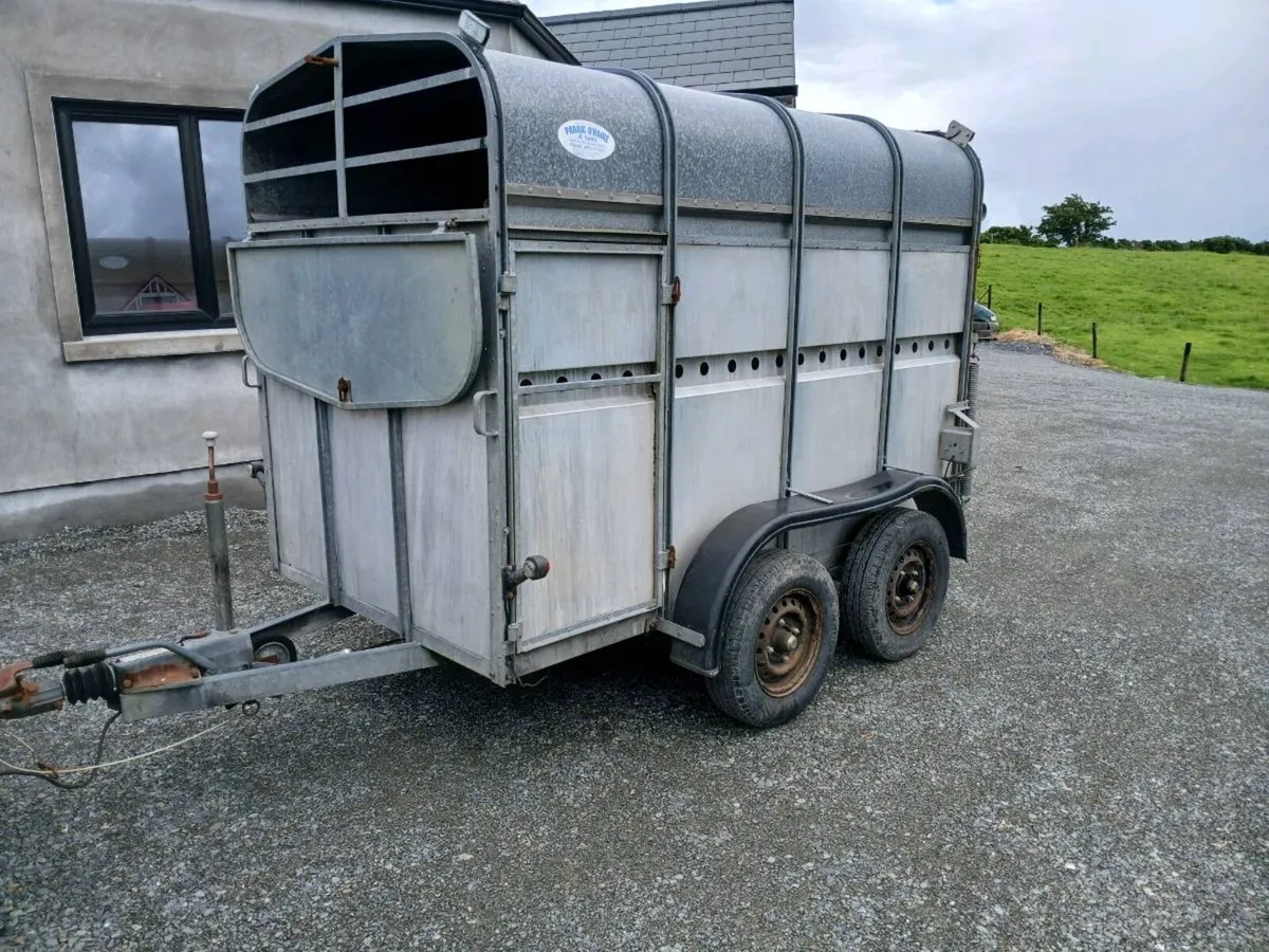 P O'HAIRE CATTLE TRAILER - Image 1