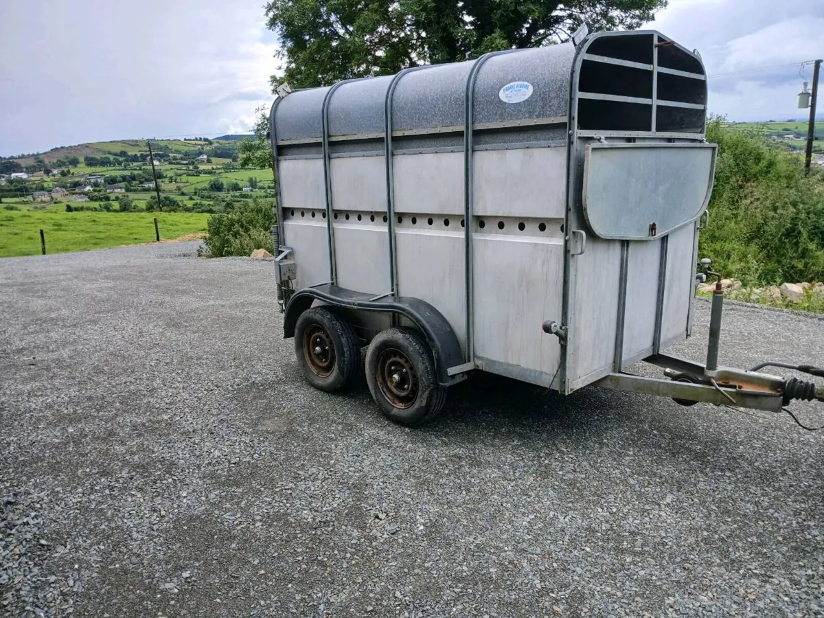 P O'HAIRE CATTLE TRAILER - Image 2