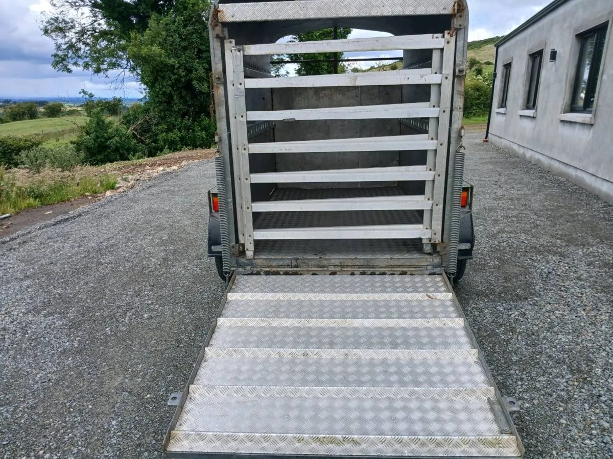 P O'HAIRE CATTLE TRAILER - Image 3