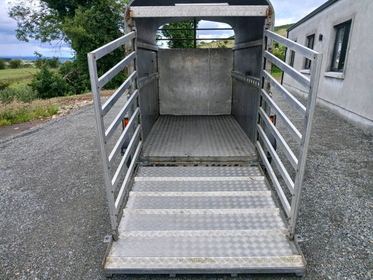P O'HAIRE CATTLE TRAILER - Image 4