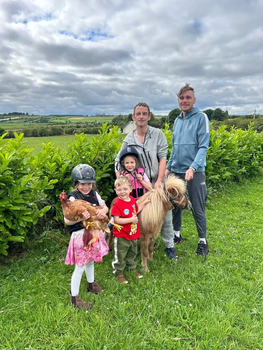 ☘️Minature show pony for sale ☘️ - Image 1