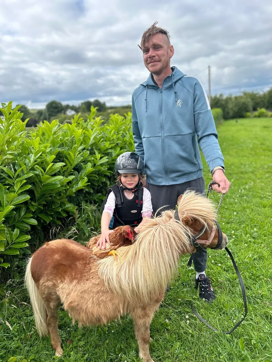 ☘️Minature show pony for sale ☘️ - Image 3