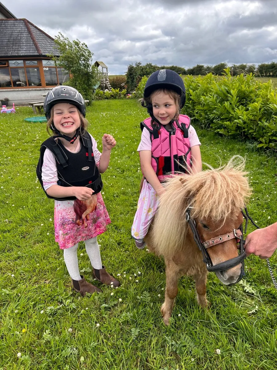 ☘️Minature show pony for sale ☘️ - Image 4