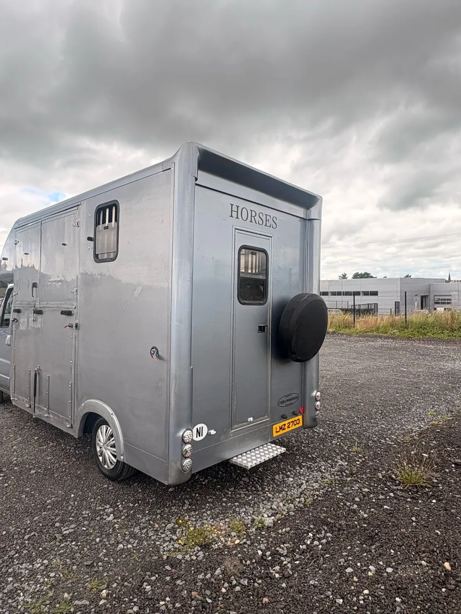 Just been tested for one year  Horse lorry - Image 2