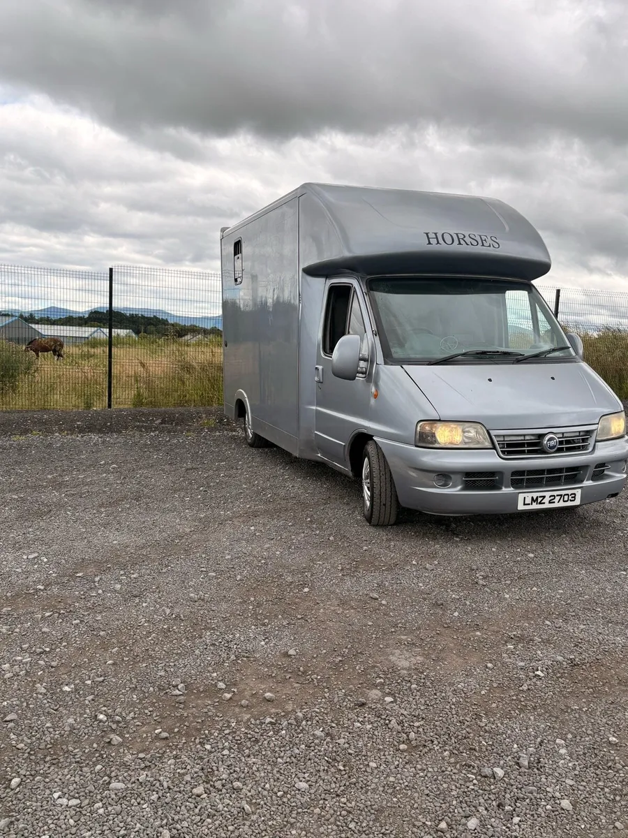 Just been tested for one year  Horse lorry - Image 1