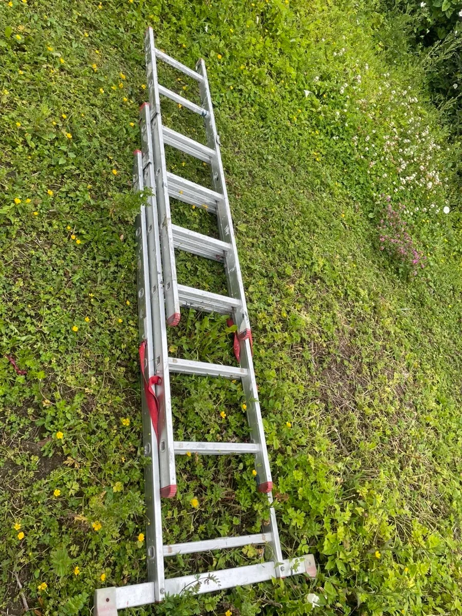 Ladder - Image 3