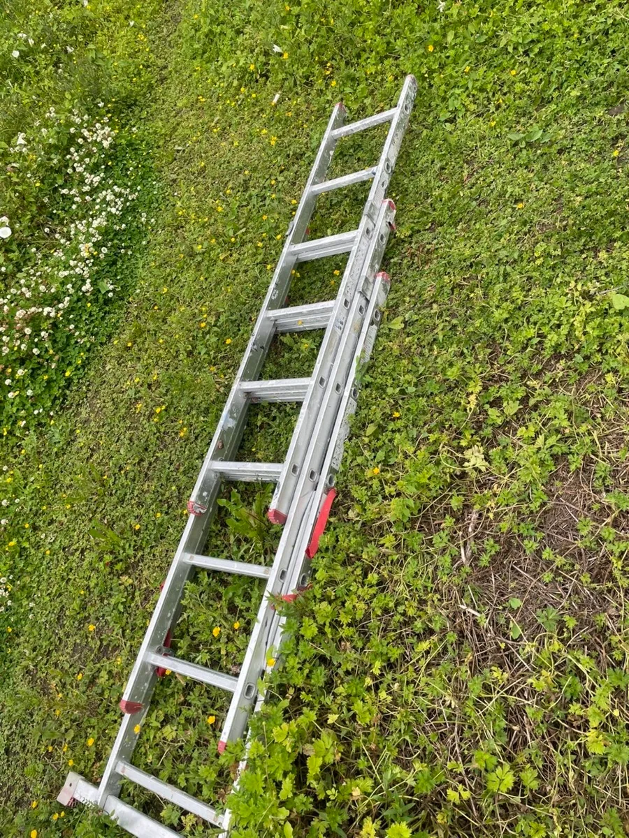 Ladder - Image 2