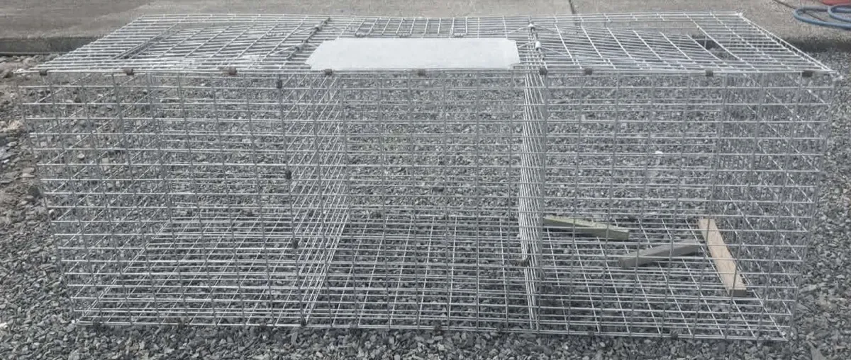 Larsen Trap - Image 1