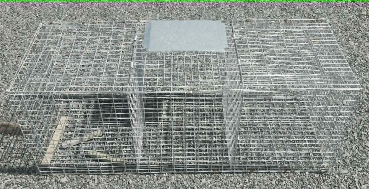 Larsen Trap - Image 3
