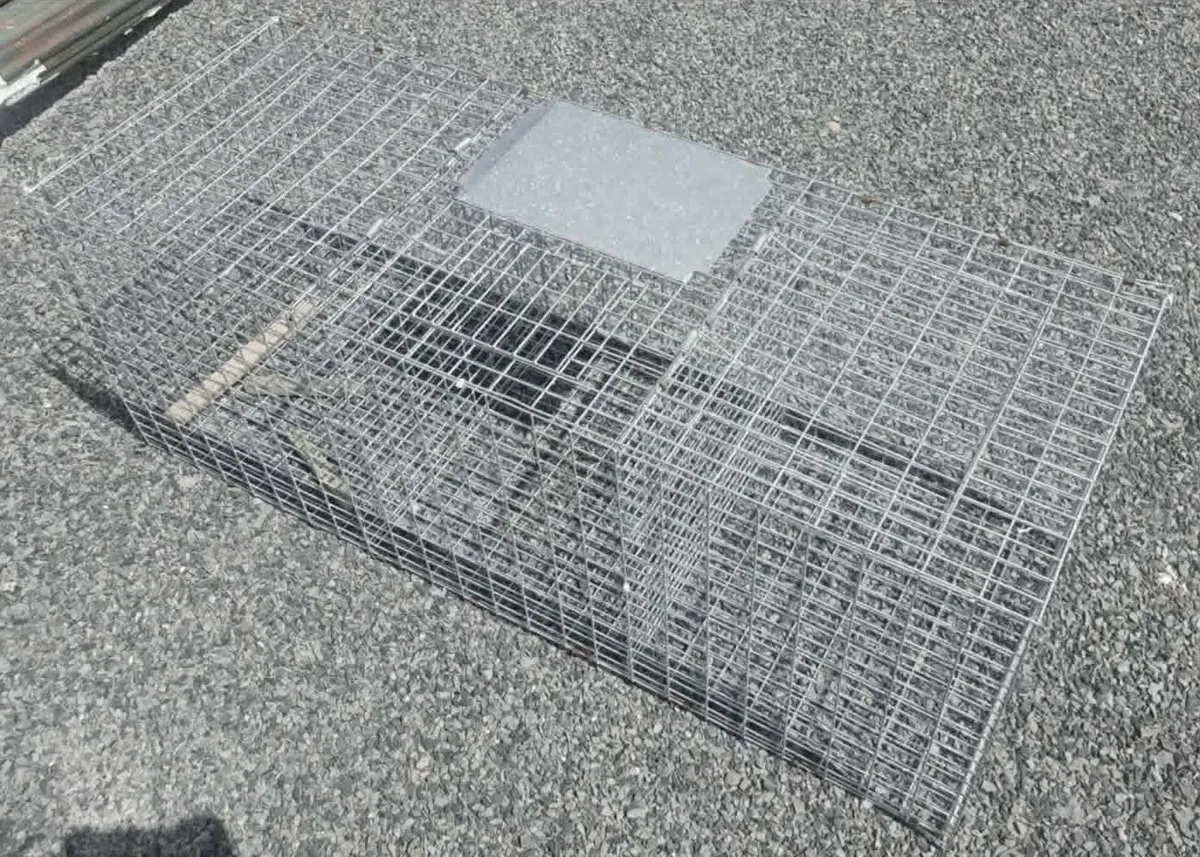 Larsen Trap - Image 4