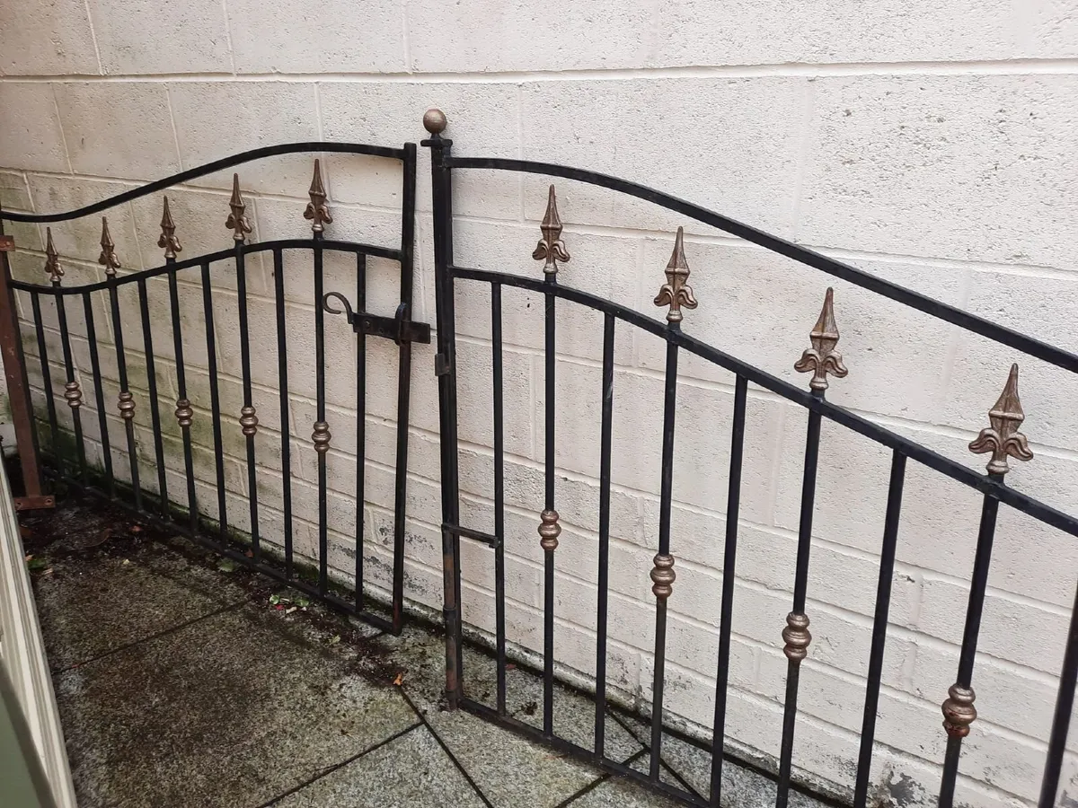 Decorative Wrought Iron Driveway Gates - Image 1