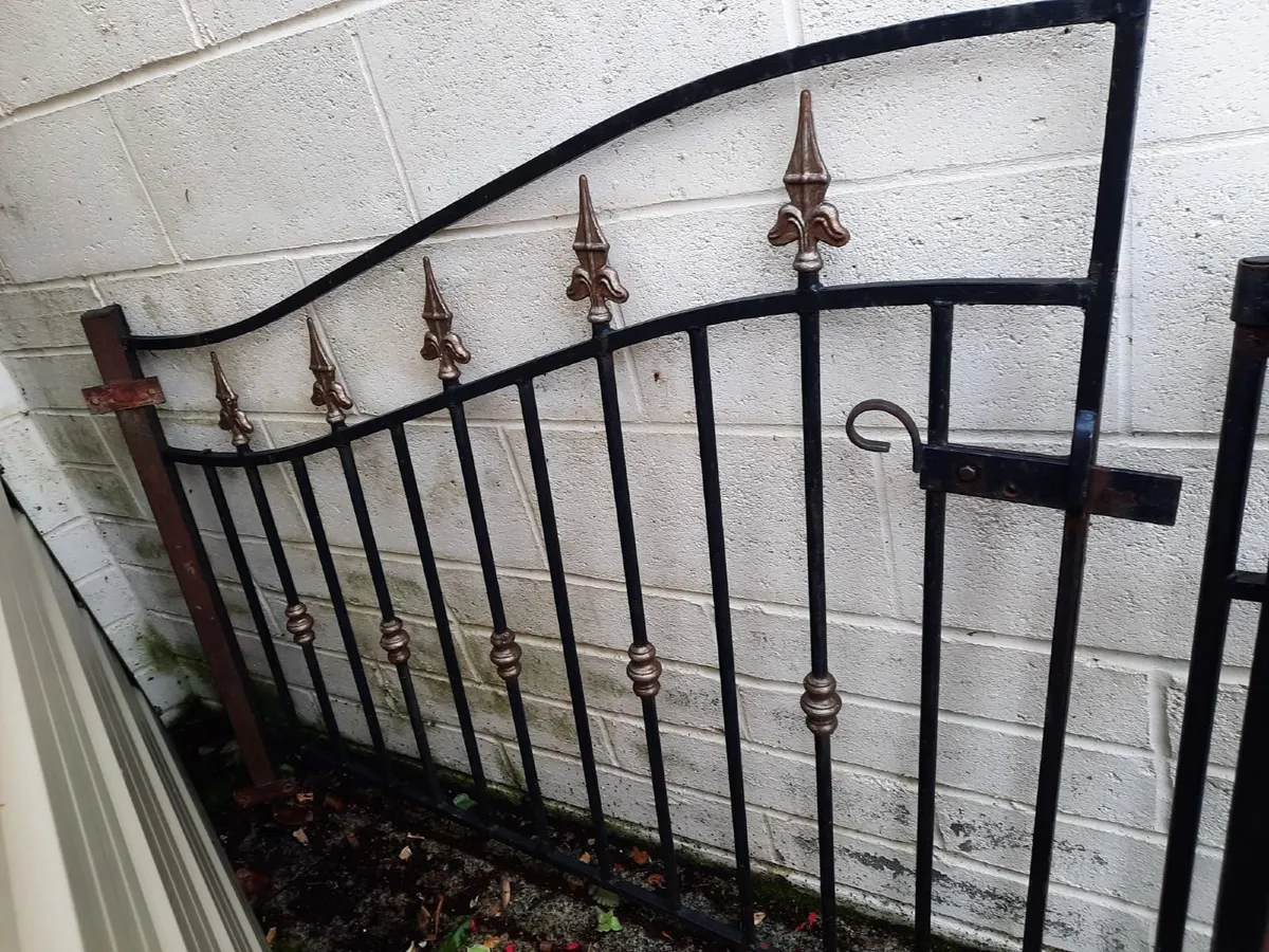 Decorative Wrought Iron Driveway Gates - Image 2