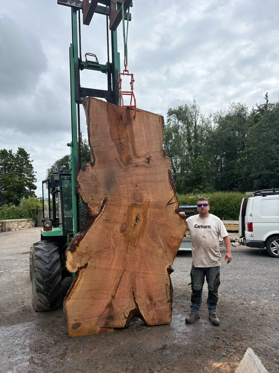 Large oak slabs - Image 1