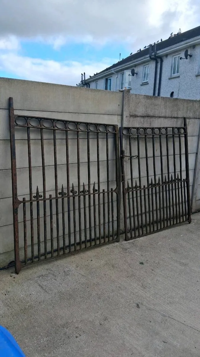 Original forged gates - Image 1