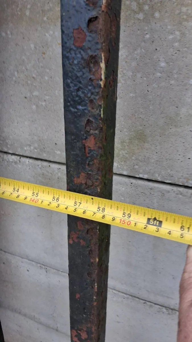 Original forged gates - Image 4