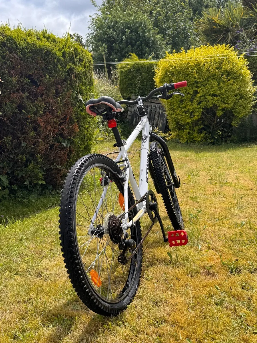 Junior Bike: Rockrider 100 Kids' 24-Inch Mountain - Image 2