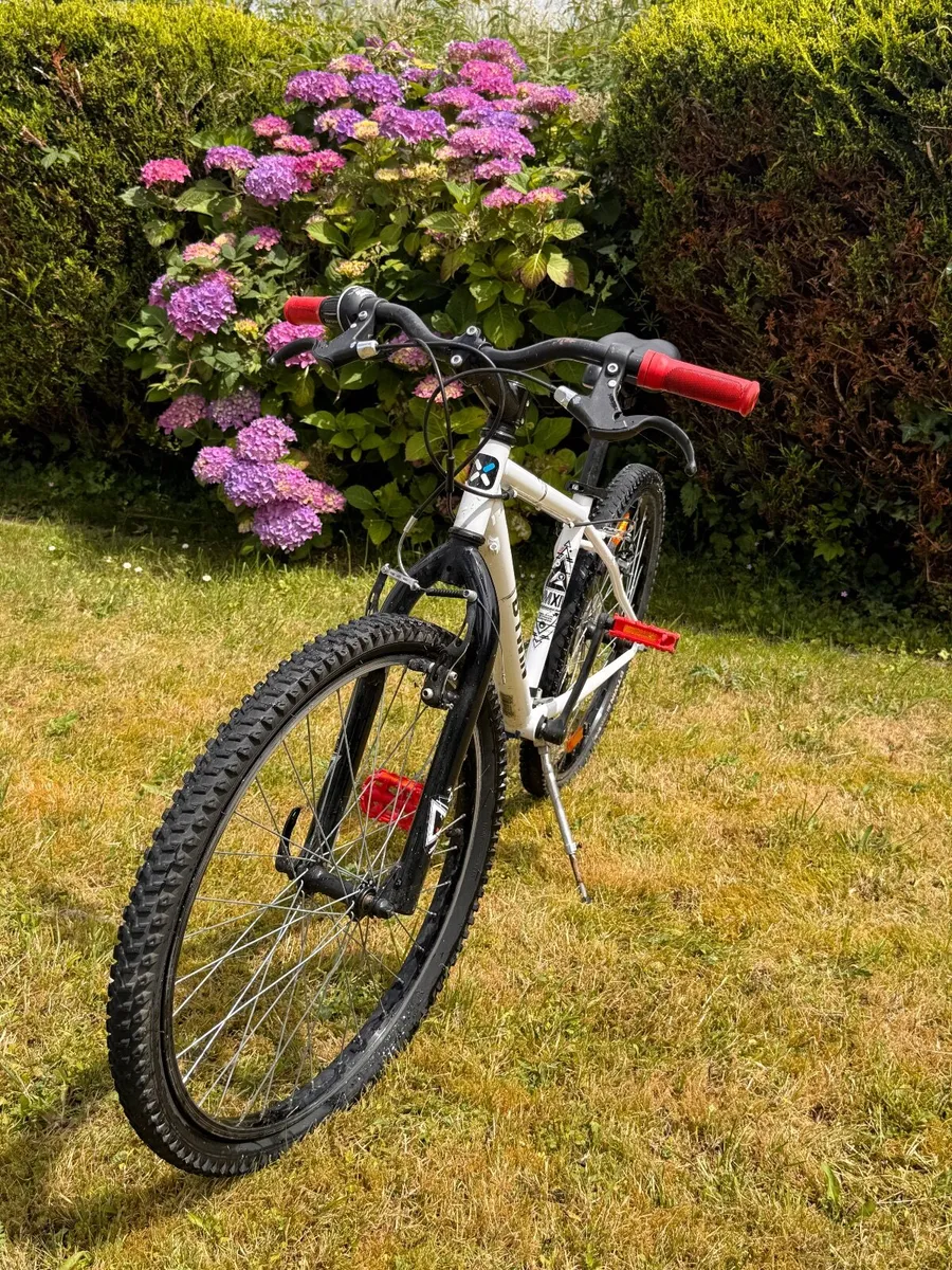 Junior Bike: Rockrider 100 Kids' 24-Inch Mountain - Image 4