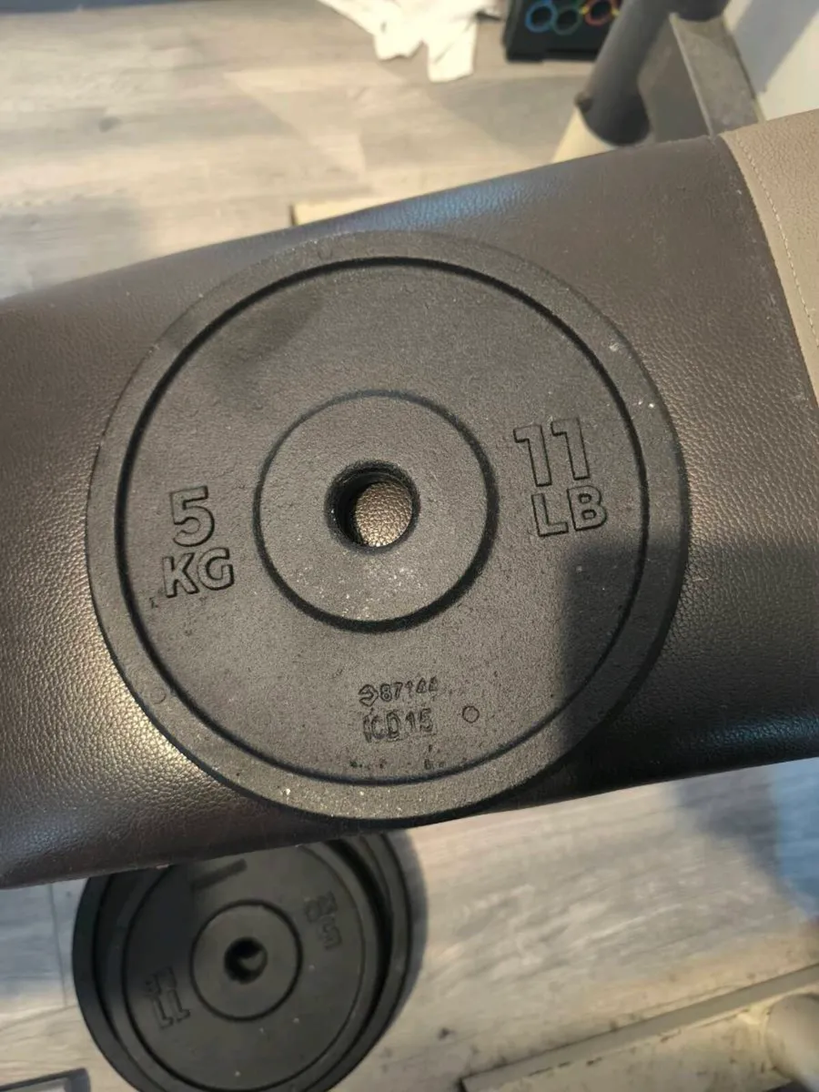 Bench and weights - Image 4