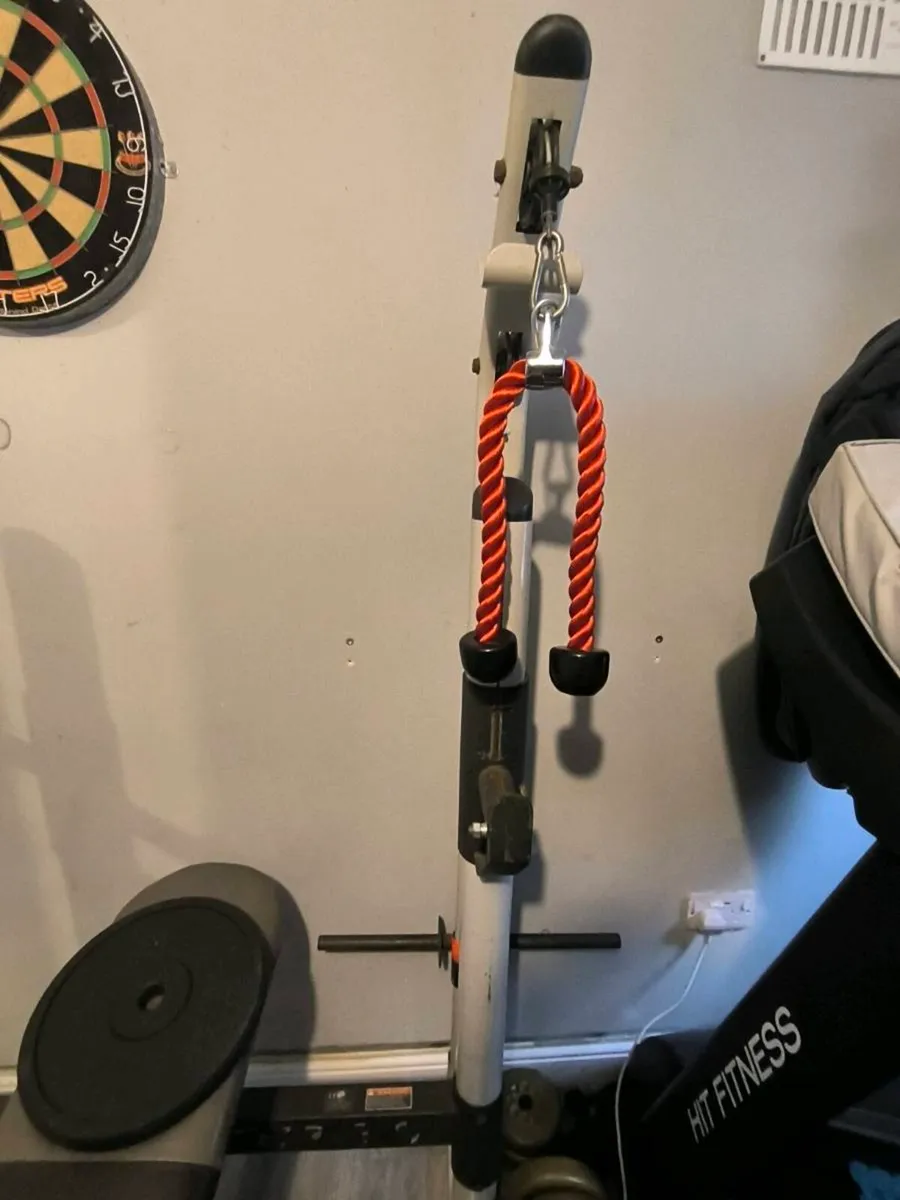 Bench and weights - Image 2