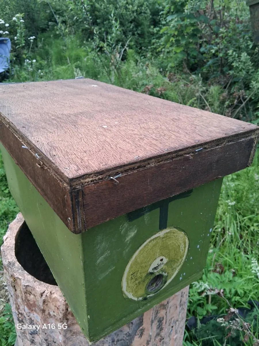 Nuc of bees .. made to order - Image 1