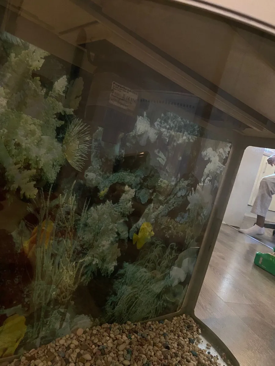 Aquarium - Image 1